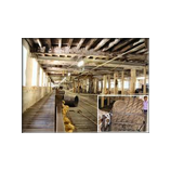 'Ropemakers of Plymouth' Martin Reed,20th March2006